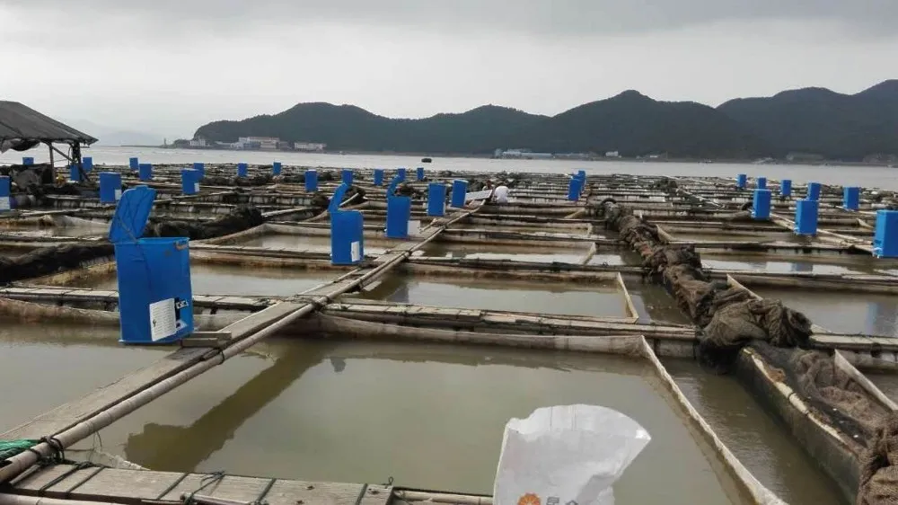 automatic feeder for fish farm