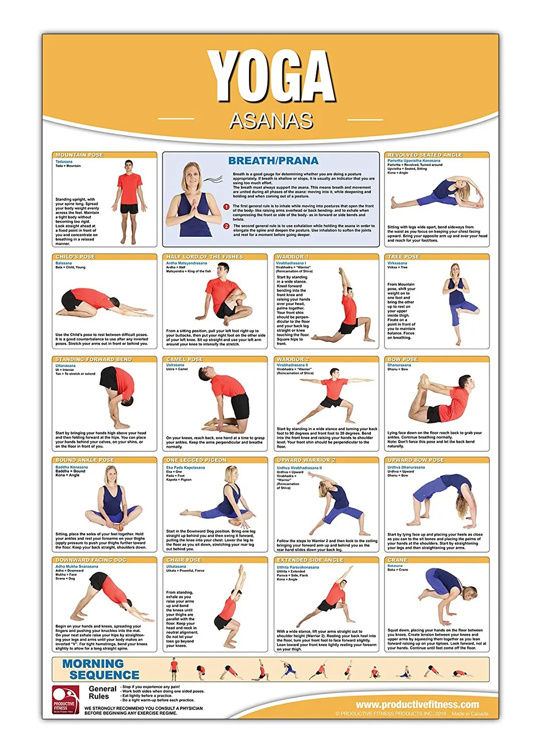 order office yoga posters
