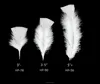 Manufacturer High Quality Turkey Flat Feather Colorful Turkey Feather