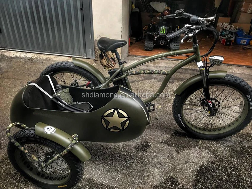 electric bike with sidecar