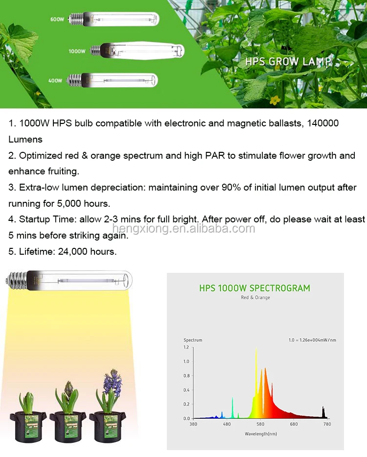 1000W HPS grow light bulb.jpg