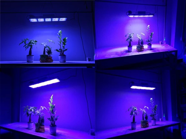 Led Plant Grow Light.jpg