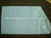 white sack with PE liner / Sugar bag