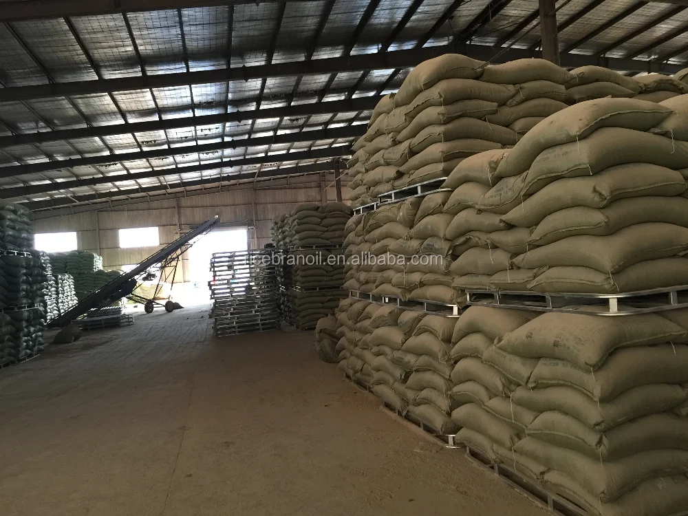 146B243EDCB411A9CFE91F2EA5BBE33C