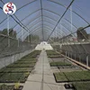 100% virgin pe aluminum sunshade netting
