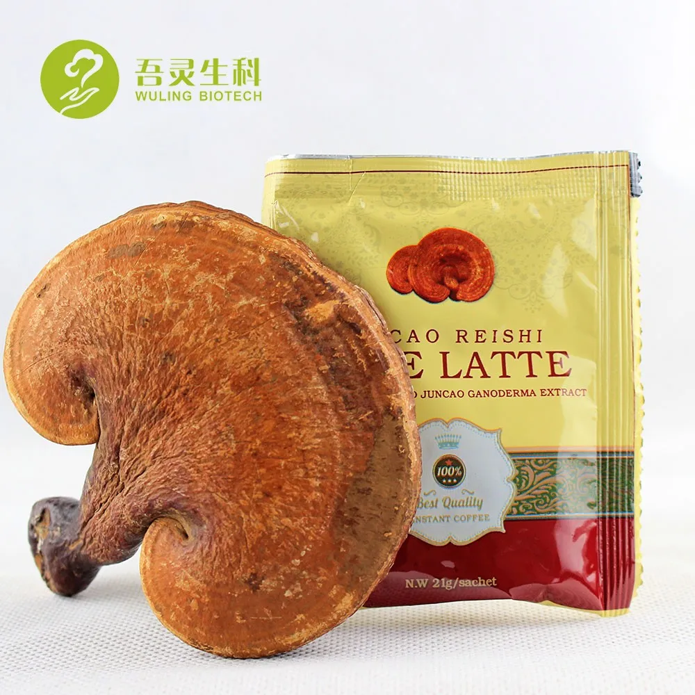 2018 Hot Sale Natural Herbs Extract Lingzhi Coffee Ganoderma Green