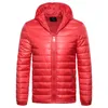 China Factory Wholesale Light Hoody Winter Short Puffer Mens Down Jacket