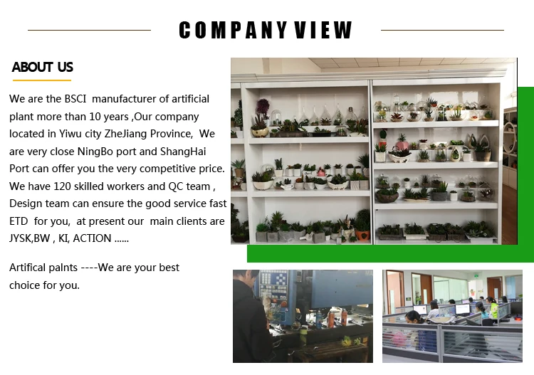 flower company view