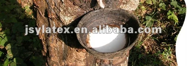 Latex-5