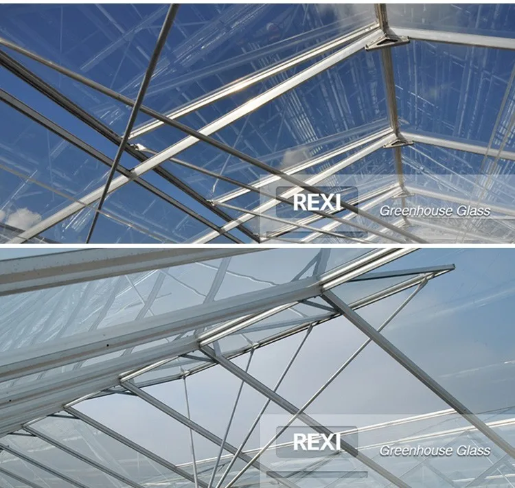 3.2mm 4mm Clear Tempered Greenhouse Glass Ce,Igcc&as/nzs Certified