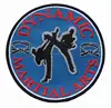Martial Arts Patches RARE: hapkido taekwondo karate aikido wing chun kung fu