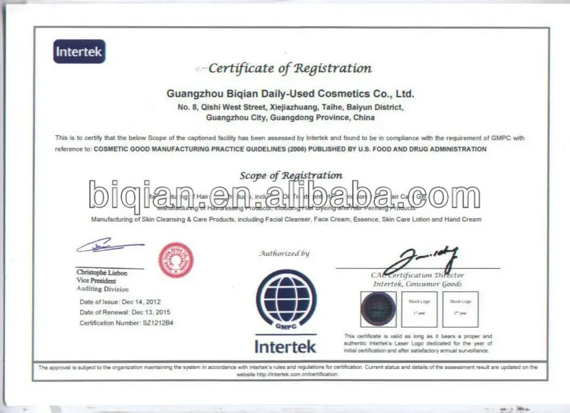 GMP2008 english