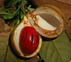 Hot sale high quality red Mace extract/nutmeg extract powder natural delicate flavour