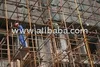 Construction Workers