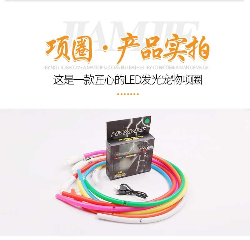 LED Dog Collar (13).jpg