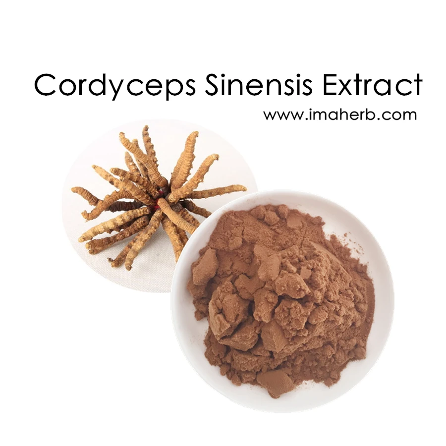 Organic Yarsagumba Cordyceps Sinensis Extract Powder With Private Label ...