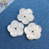 SLX-00050 DIY wholesale Natural freshwater pearl carved seashell flower shell carve stone beads