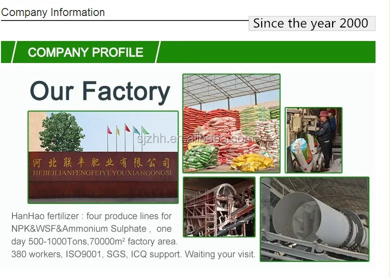 company name.jpg