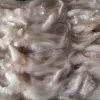 frozen squid head(squid tentacle), squid wing
