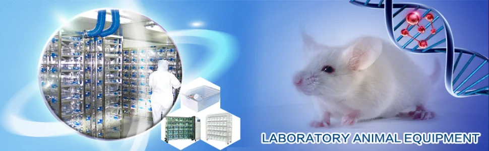 Laboratory Ivc Cage For Mouse Individually Ventilated Ivc Laboratory Rabbit  Cage - Buy Laboratory Ivc Cage Ivc System - Individually Ventilated Caging  System For Mouse / Rat,Lab Mouse Ivc Cage Touchscreen Control