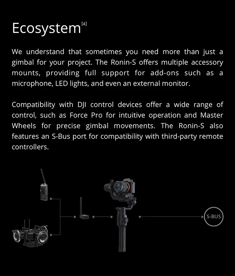 ronin s-10