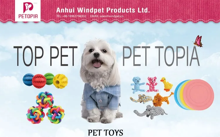 PET-TOYS1.jpg