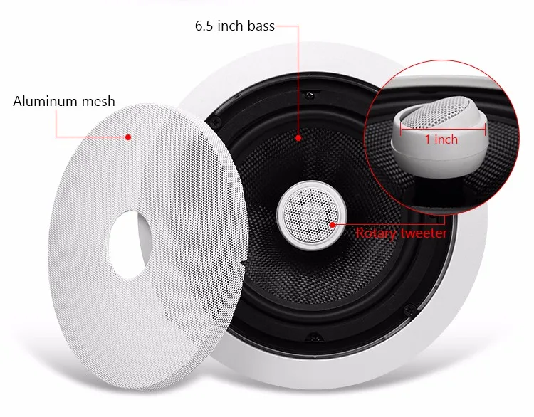 Ctrlpa Ip Public Address Sound System Poe Hifi Ceiling Speakers Buy Hifi Ceiling Speakers,Ip