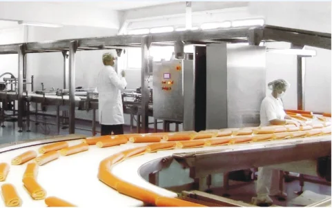 swiss roll & layer cake production line