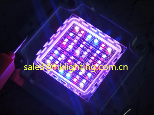China Market CE Approved Brigelux Chips 3w 10w 30w 60w 100w LED RGB Full Spectrum for Plant Grow Light (5).jpg