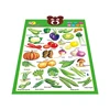 Sound 3D cartoon children's edutational wall charts