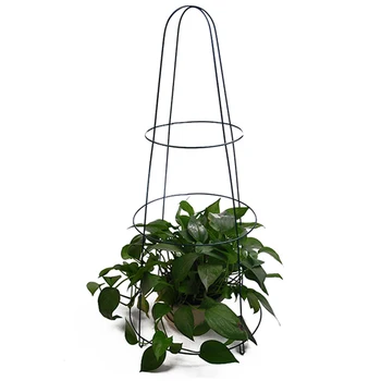 Circulaire De Support Végétalcage à Tomatessupport Pour Plantes Grimpantes Buy Cage à Oiseaux Ronde En Métal Antiquesupport De Plantation De