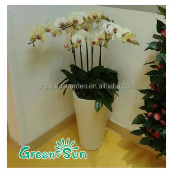 Office Flower Pots Meeting Room For Tree Oversize Office Flower Pots Meeting Room For Tree Oversize