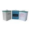 Household Decorative Rectangular Metal Bread Box with Lid For Kitchen