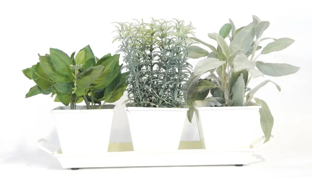 Buy Windowsill Herb Garden Kit Cream White Metal Planters 5