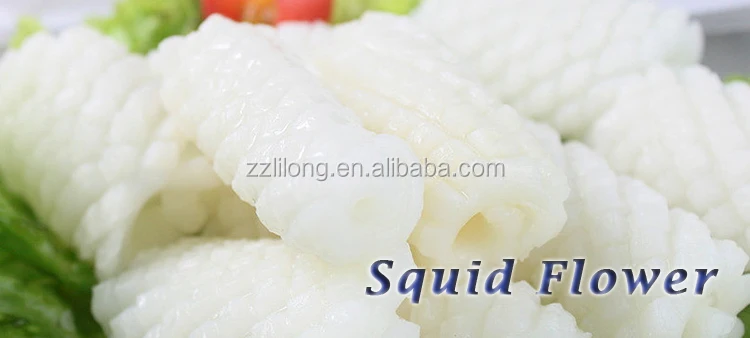 Frozen Squid Wholesale Flower Giant Squid