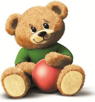 korean teddy bear