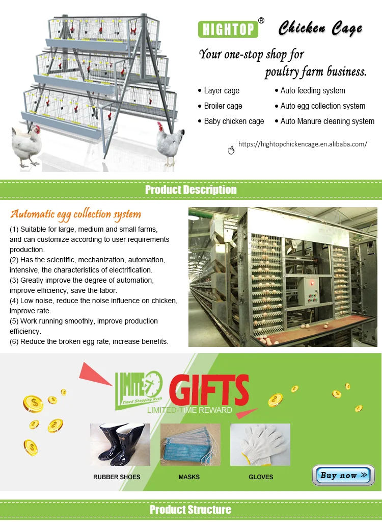Chicken Coop Automatic Nontoxic Egg Collection Conveyor Belt Buy Automatic Nontoxic Egg