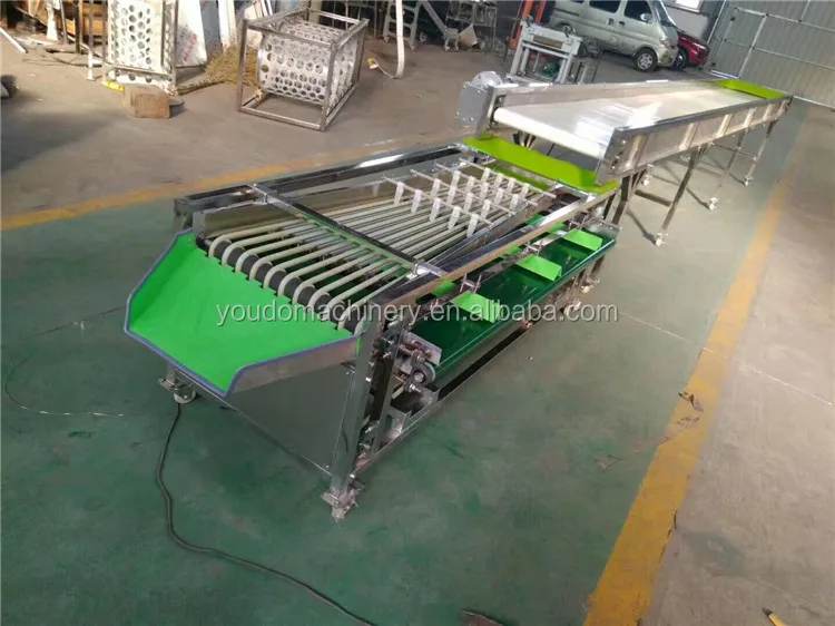 sorting machine (4).jpg