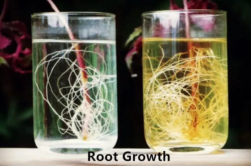 Xhumate Soil Conditioner Humic Acid Granular Organic Fertilizer Buy