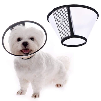 protective collar dog