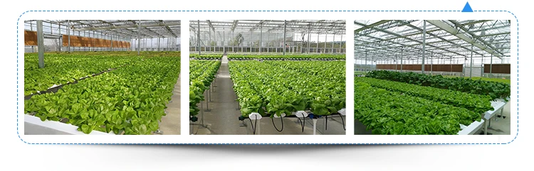 5Hydroponic-Table_07.jpg