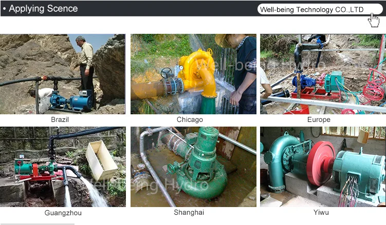 micro hydro propeller turbine