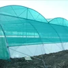 High Quality Export green Color agricultural Shade net