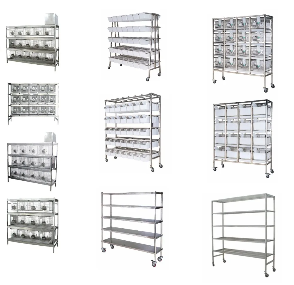 Stainless Steel Laboratory Pig Cages - Flexible & Durable