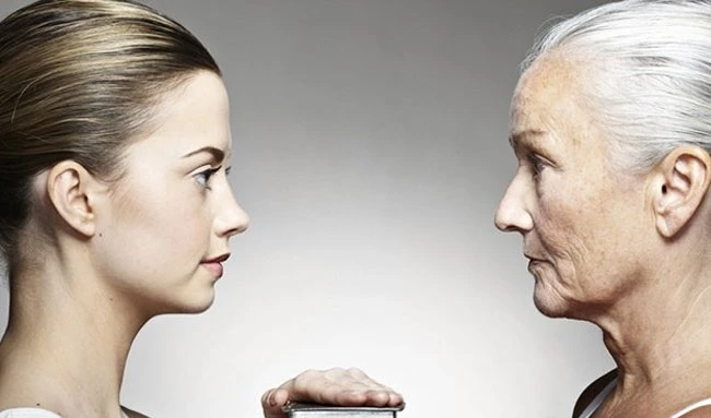 Honey Bee Powder.jpg