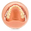 /product-detail/dental-lab-material-flexible-pmma-acetal-blocks-60823919393.html