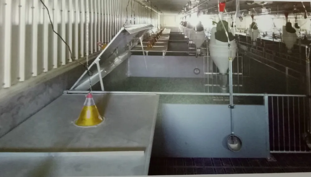 Farrowing Crate / 2 Sows Farrowing Crate/full Set Pig Farrowing Crate