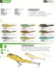 fishing tackle hard frog lure popper minnow