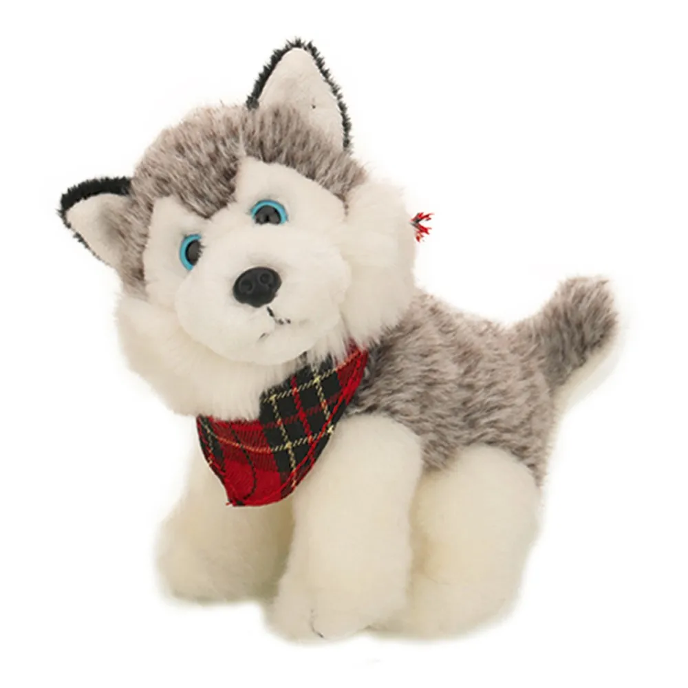 husky teddy