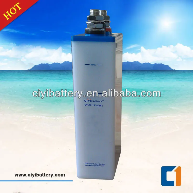 CYL60-1.2V-60AH-11